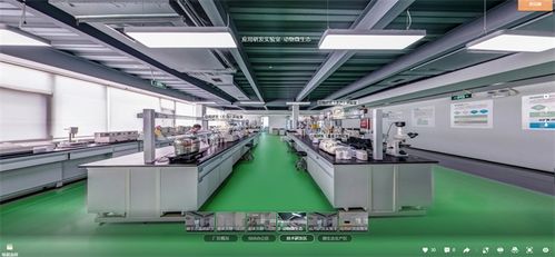 工厂培训与远程带看 VR数字工厂为企业打开新局面